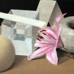 10-hypercube-and-lily-20x40